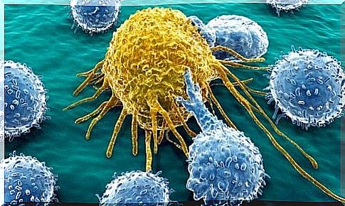 Cancer cancer cell