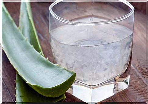 Aloe vera