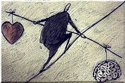 depiction of the balance between heart and brain