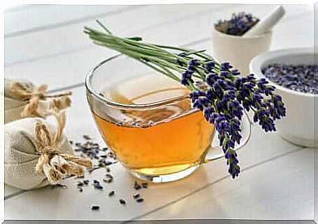 Lavender infusion to say goodbye to stress.