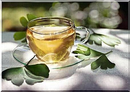 Ginkgo biloba infusion to say goodbye to stress.