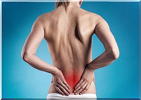 Lower back pain in the kidneys