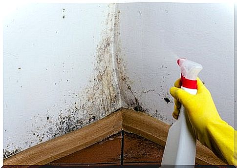 tricks to clean the walls