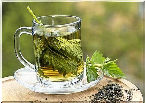 nettle infusion