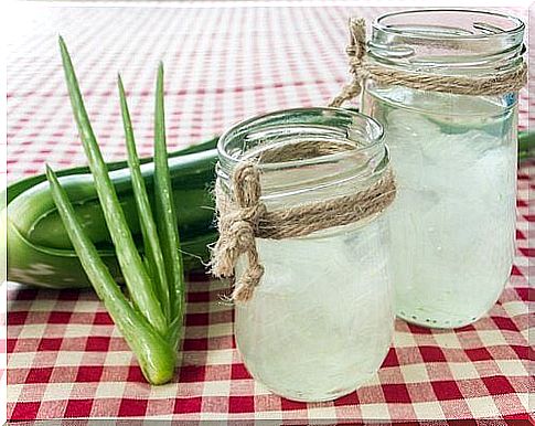 Aloe vera in case of gastritis: 5 good reasons to consume it