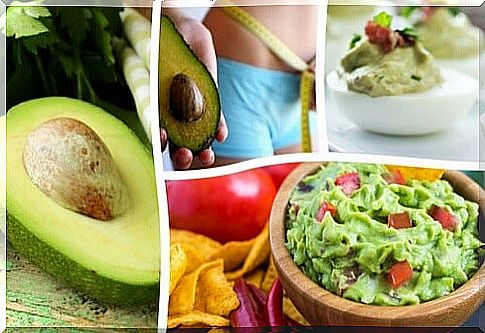 Avocado recipes: 4 to improve health