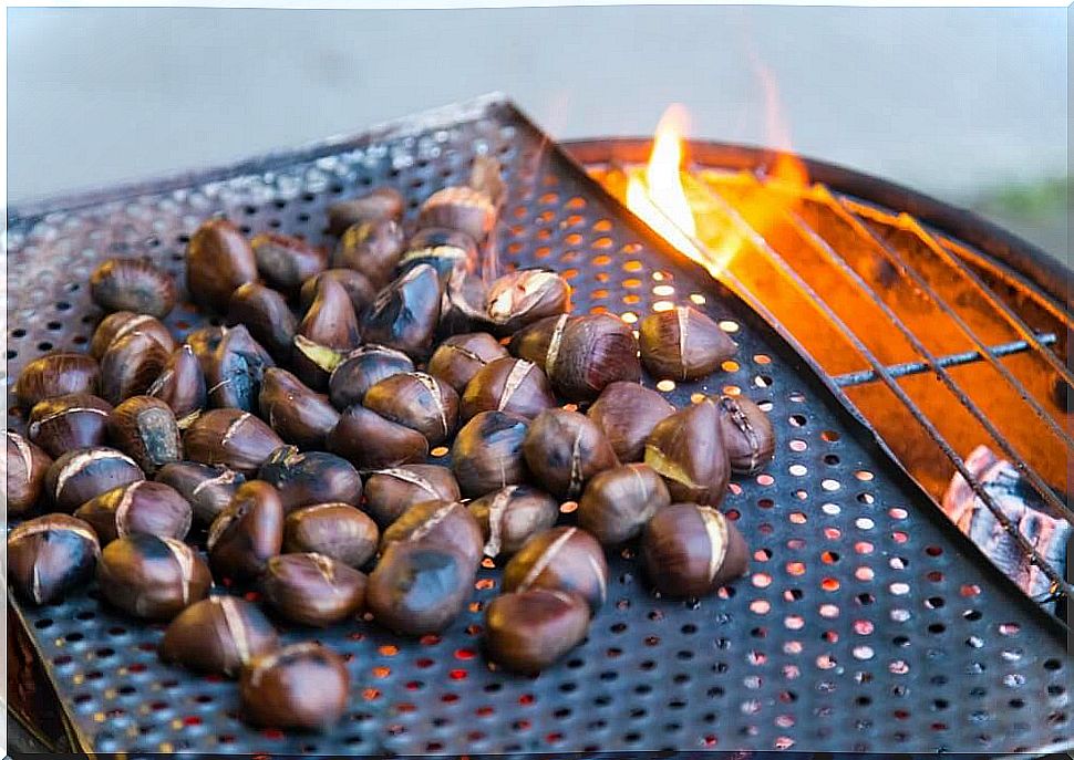 The roasted chestnuts