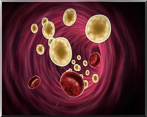 blood cholesterol