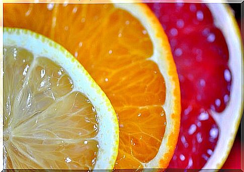 Slices of citrus fruits with zest