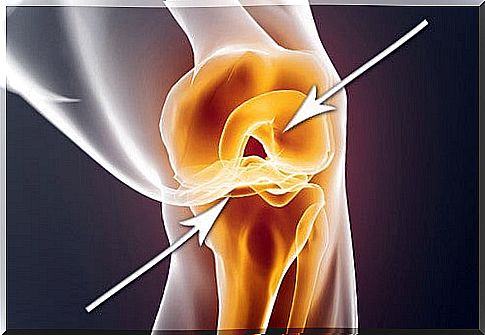 Damaged cartilage: how to regenerate it