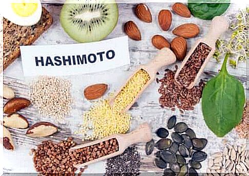 Diet in Hashimoto's thyroiditis: which nutrients?