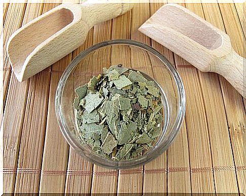 Bowl with dried eucalyptus leaves