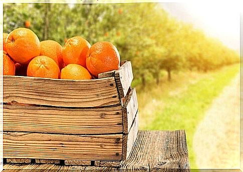 box of citrus oranges