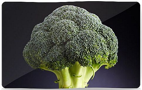 Broccoli has a high content of vitamin C and dietary fiber.  In addition, broccoli contains several nutrients with great anticarcinogenic properties.