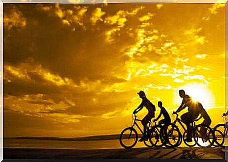 People on bicycles at sunset.