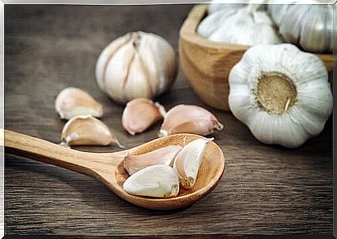 cloves and heads of garlic