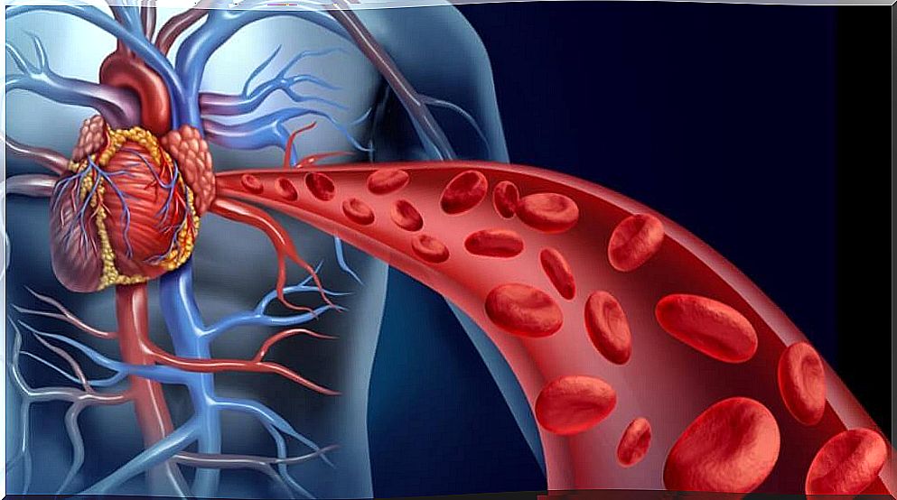 Blood circulation