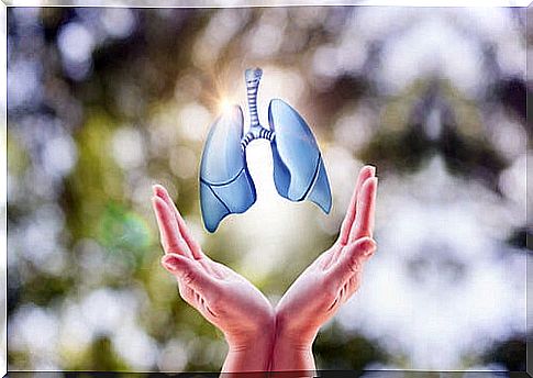 open hands and bright image of the lungs