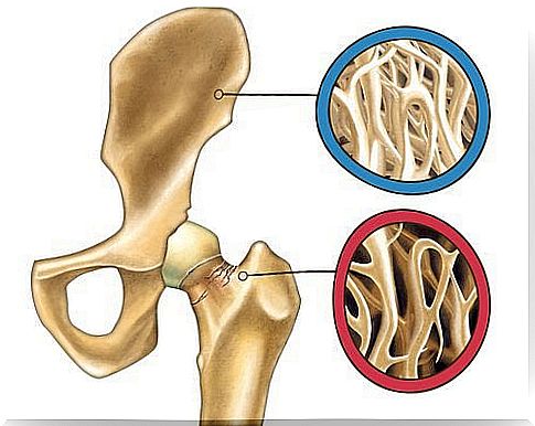 maintain bone density