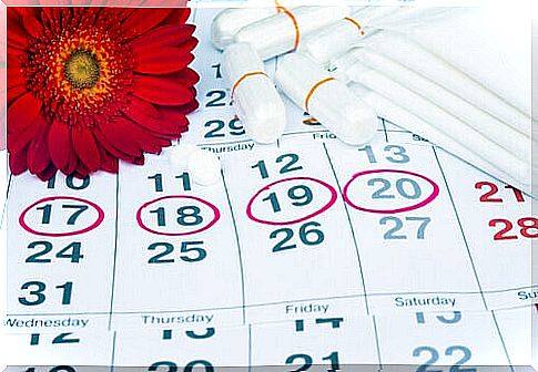 Menstrual calendar