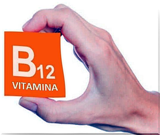 Vitamin B 12