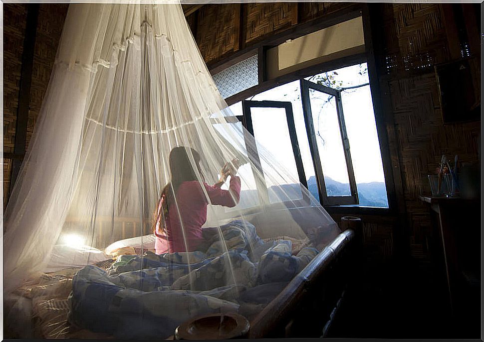 Mosquito net