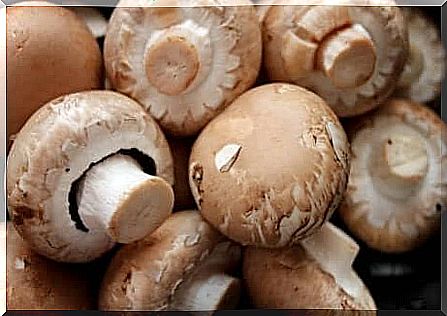 Champignon mushrooms.