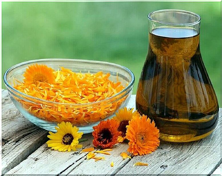 Calendula oil