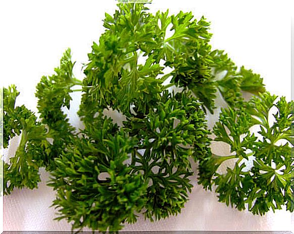 Parsley is great for controlling intestinal gas production