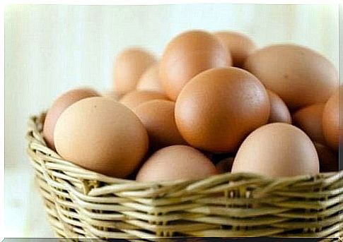 Eggs as a source of protein