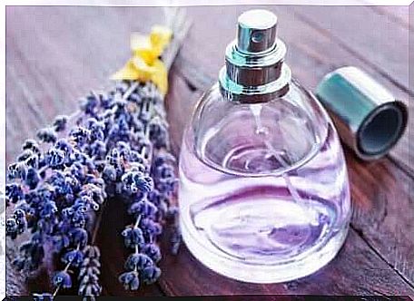 Flask of lavender