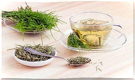 Horsetail herbal tea.