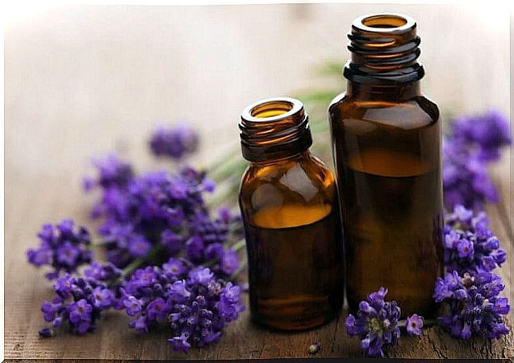 Lavender essential oil