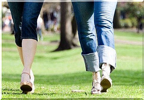 walking on a meadow