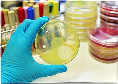 Technician analyzes urine sample in the laboratory