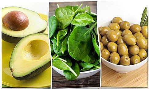 Vitamin E: 6 foods to increase its consumption