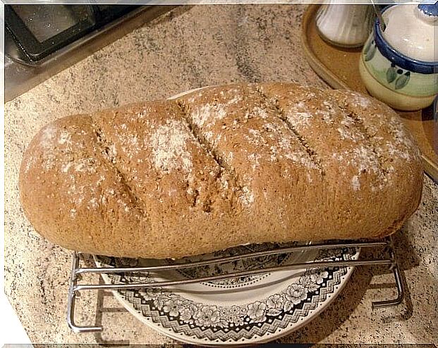 Homemade wheat bread