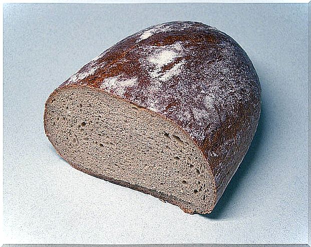 Rye bread