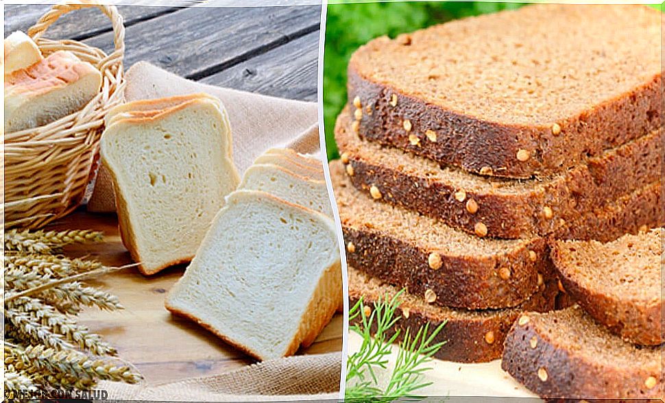 White or wholemeal bread: which is the best choice?